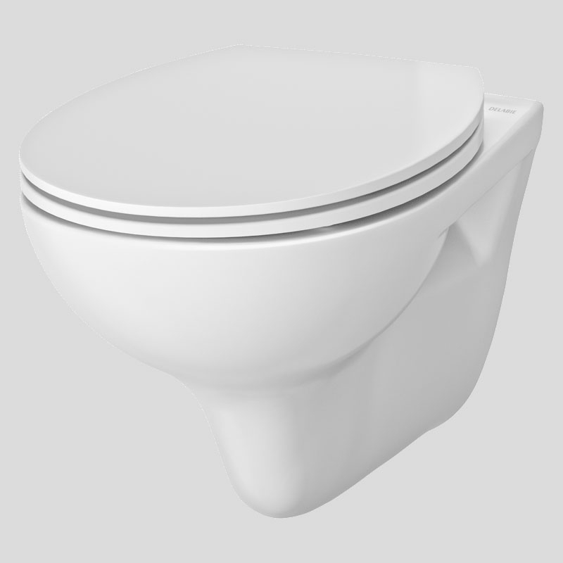 Delabie WCeram S, WC-istuin setti, painikkeellinen asennusteline, valkoinen