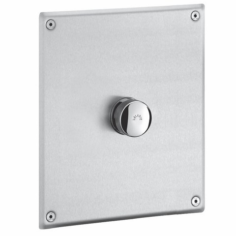 Delabie TEMPOFLUX WC flush valve and cover plate 220 x170 mm